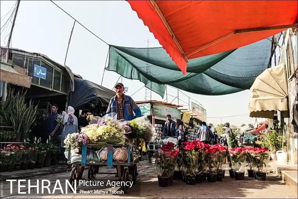 | ویدئو | بازار گل و گیاه شهید محلاتی 1