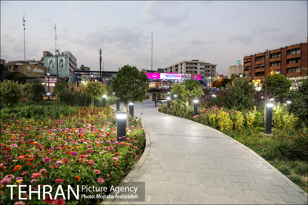 | مالتی مدیا | عکس‌های منتخب شهریور ماه عکاسان آژانس عکس تهران