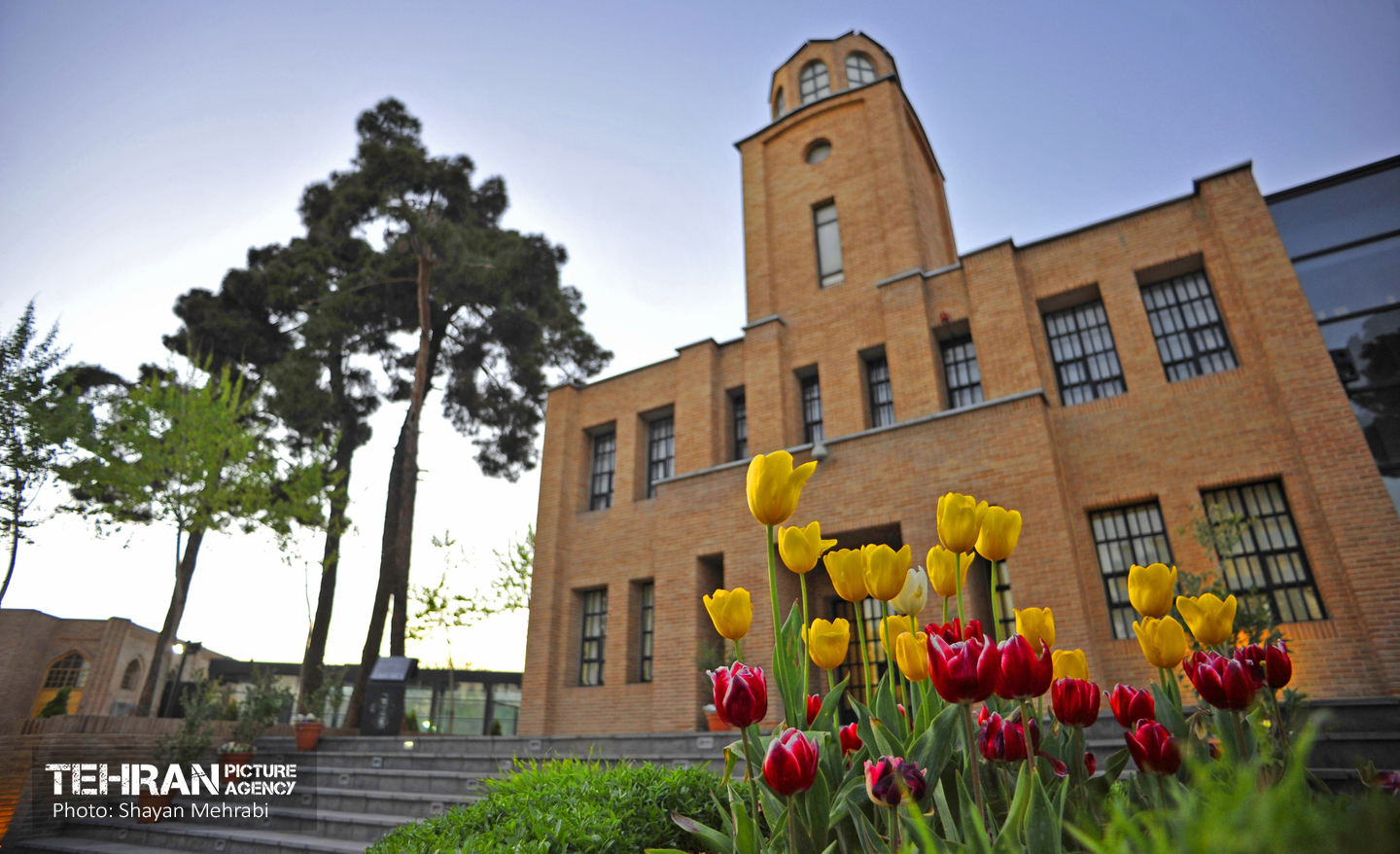 Ghasr Museum Garden / Shayan Mehrabi