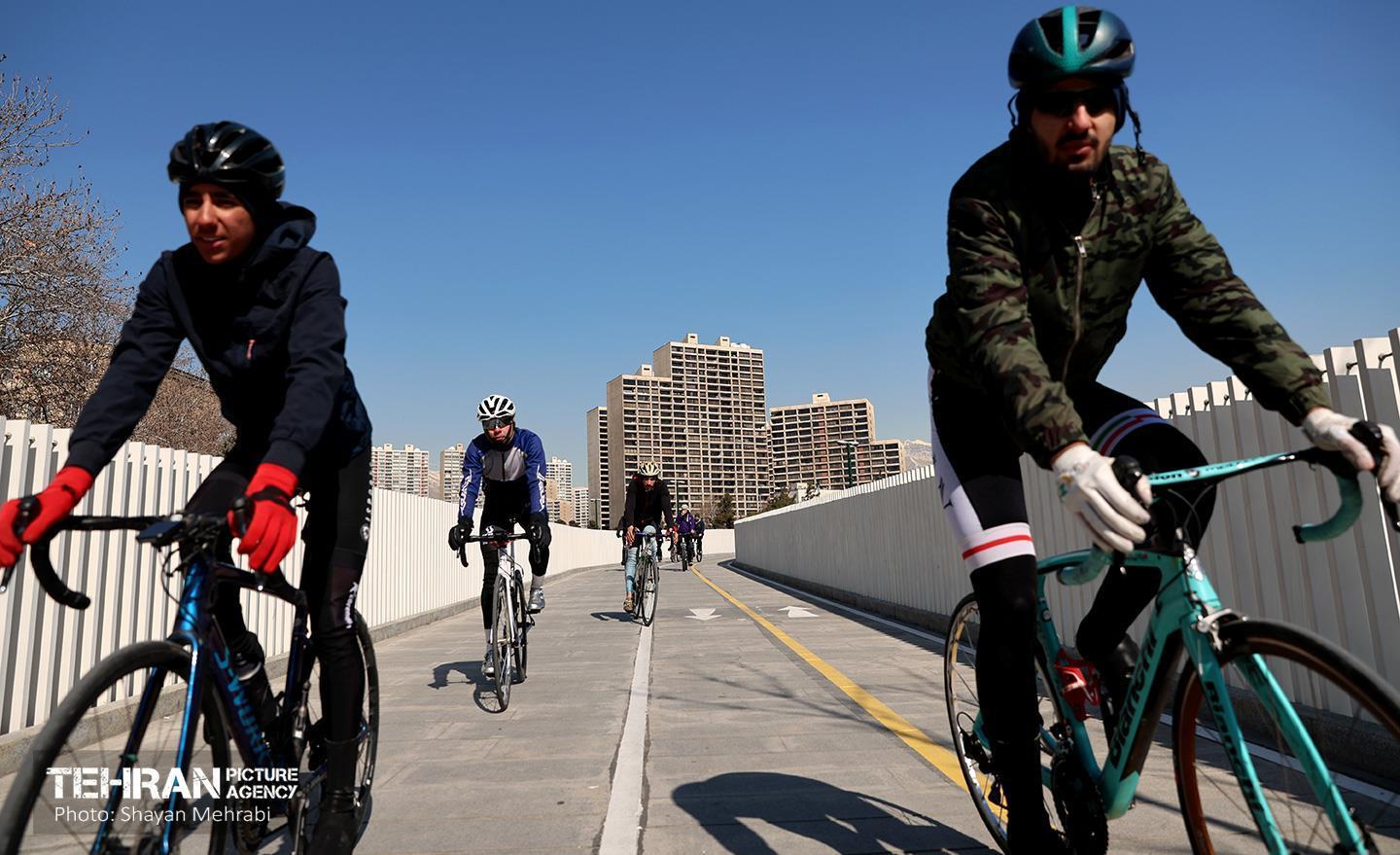 مسیر سرزندگی