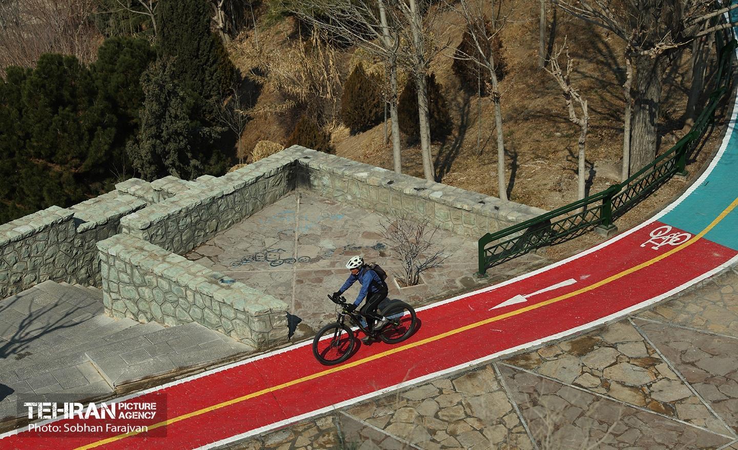 مسیر سرزندگی