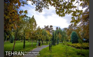 پاییز بوستان لاله 33