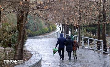 بارش باران زمستانی در تهران 35