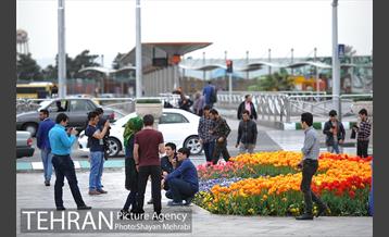 رویش گل های لاله در میدان آزادی 32