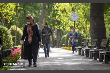 لاله های باغ ایرانی 20