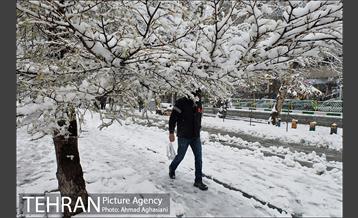 بارش اولین برف پاییزی در تهران 28