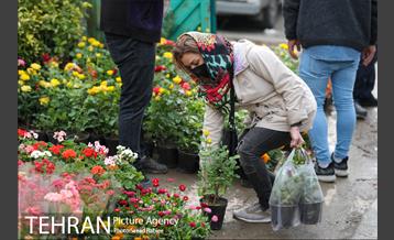بازار گل و گیاه غرب تهران در آستانه نوروز 8