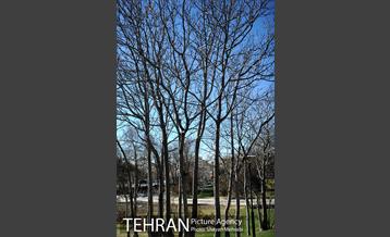 بوستان پلیس 26