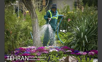 اجرای طرح استقبال از نوروز ۱۴۰۰ در منطقه 17