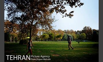 ورزش اسلک لاین 24