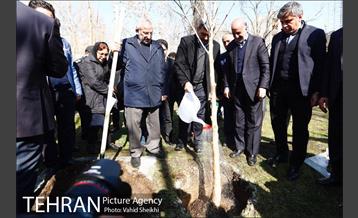 باز آفرینی باغ عبقری منطقه ۲ 12