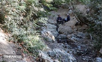 شهرنگار؛ درکه 36