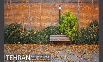 پاییز باغ موزه قصر 6