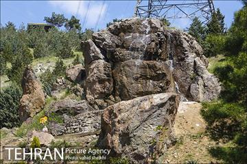 بوستان جنگلی کوهسار 5