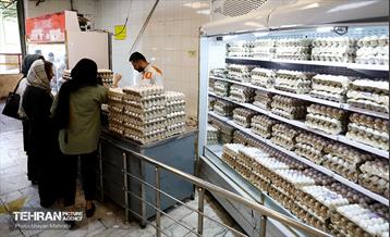 تور بازدید از میادین و بازارهای میوه و تره‌بار شهرداری تهران 8