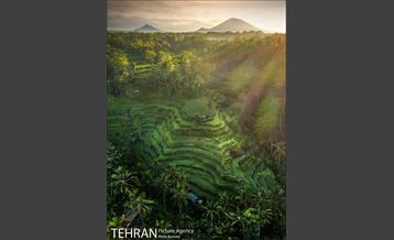 برندگان جایزه عکاس هوایی سال ۲۰۲۰  5