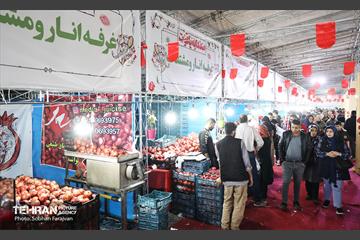 دوازدهمین جشنواره انار  3