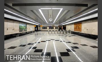 شبگردی اصحاب رسانه به میزبانی منطقه 14 7