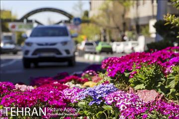 رنگ و بوی بهاری در خیابان های منطقه 7