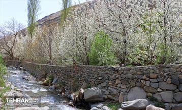 طبیعت بهاری روستای سنگان 6