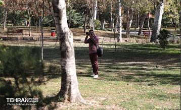 تور عکاسی بوستان بعثت 32