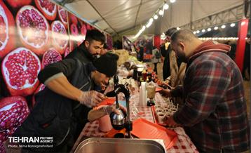 جشنواره انار در بوستان آب و آتش  20