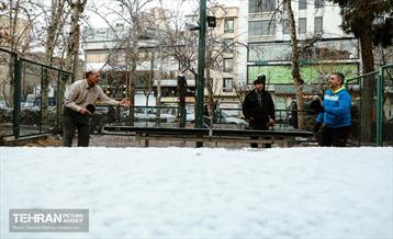 روز برفی در منطقه 8 9