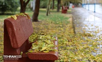 یک روز بارانی در منطقه 19 11