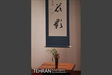 شکوفه های گیلاس و افسانه گنجی در موزه امام علی 2 24