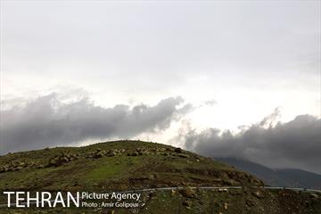 وردیج ، دنیایی از زیبایی 4