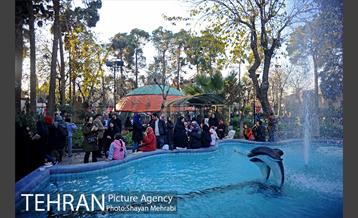 جشنواره فرهنگ ملل، غذا و صنایع دستی در منطقه 10 24