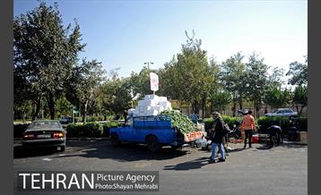 میوه فروشان خیابانی 21