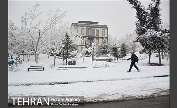 بارش برف زمستانی در تهران-2 13