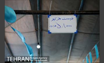 مرکز عرضه دام بهداشتی به مناسبت عید قربان در منطقه 14