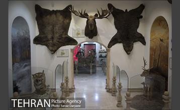 دهمین تور عکاسی آژانس عکس تهران از مکان های شاخص منطقه یک 6