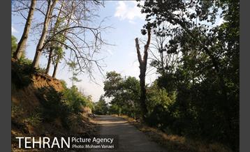 محله قدیمی ده سوهانک  9