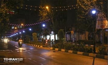 رفیوژ های همیشه سبز 2