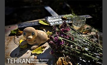 گورستان ممنوعه 6