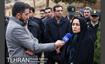 آغاز عملیات اجرایی نهضت درختکاری پردیس گردشگری 12