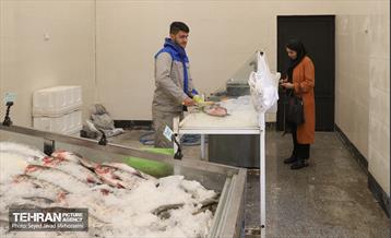 افتتاح ۱۰ بازار میوه و تره بار 16