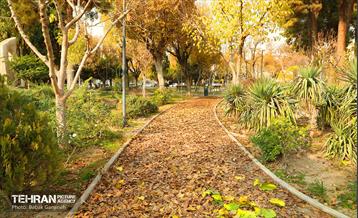 گذرگاه های پاییزی پایتخت - منطقه 13