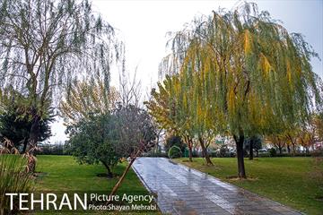 پاییز در بوستان المهدی(عج) 26