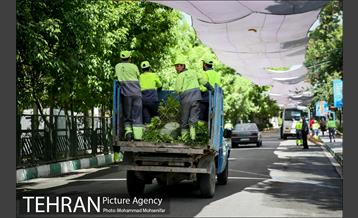 آماده سازی دانشگاه تهران برای نماز جمعه 9