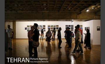 یازدهمین نمایشگاه عکس های برتر سال دوربین.نت - ۲ 1