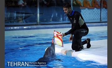 دلفیناریوم برج میلاد 17