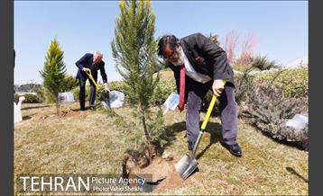 آیین کاشت درخت صلح و دوستی 37