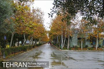 پاییز در بوستان رازی 11