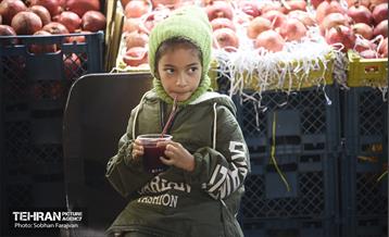 یازدهمین جشنواره صد دانه یاقوت 15