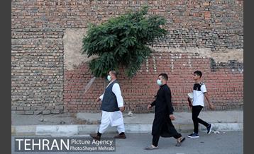 اقامه نماز عید فطر افغانستانی های اهل تسنن مقیم تهران 10