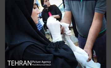 آزادسازی پرندگان و جمع آوری زباله در پارک جنگلی خجیر 6